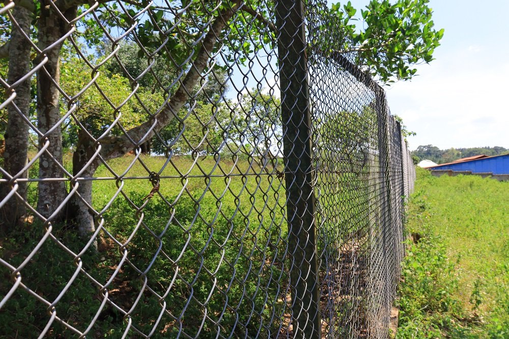 Educational programs